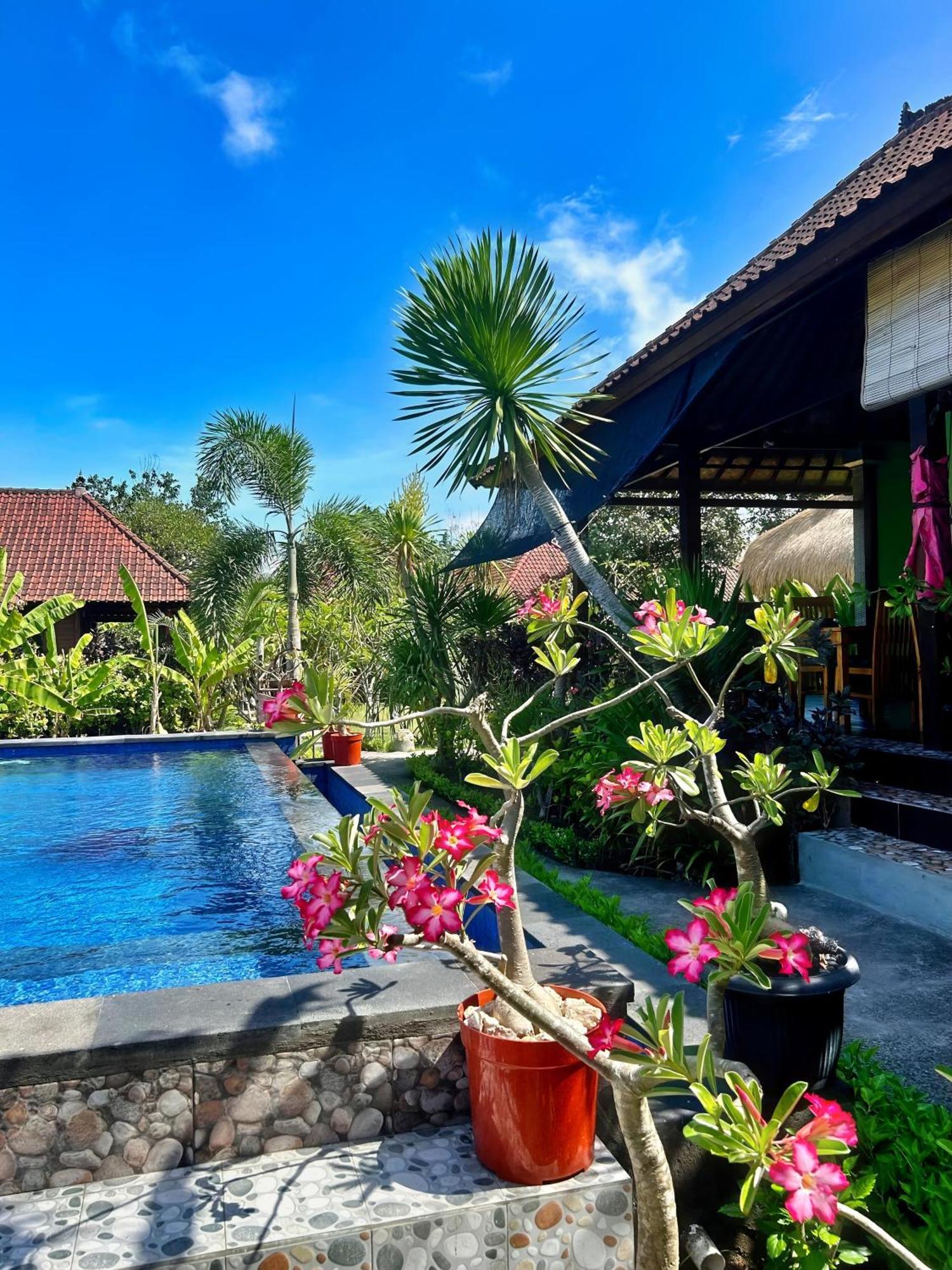 Bed and Breakfast Island Garden Huts Lembongan Экстерьер фото