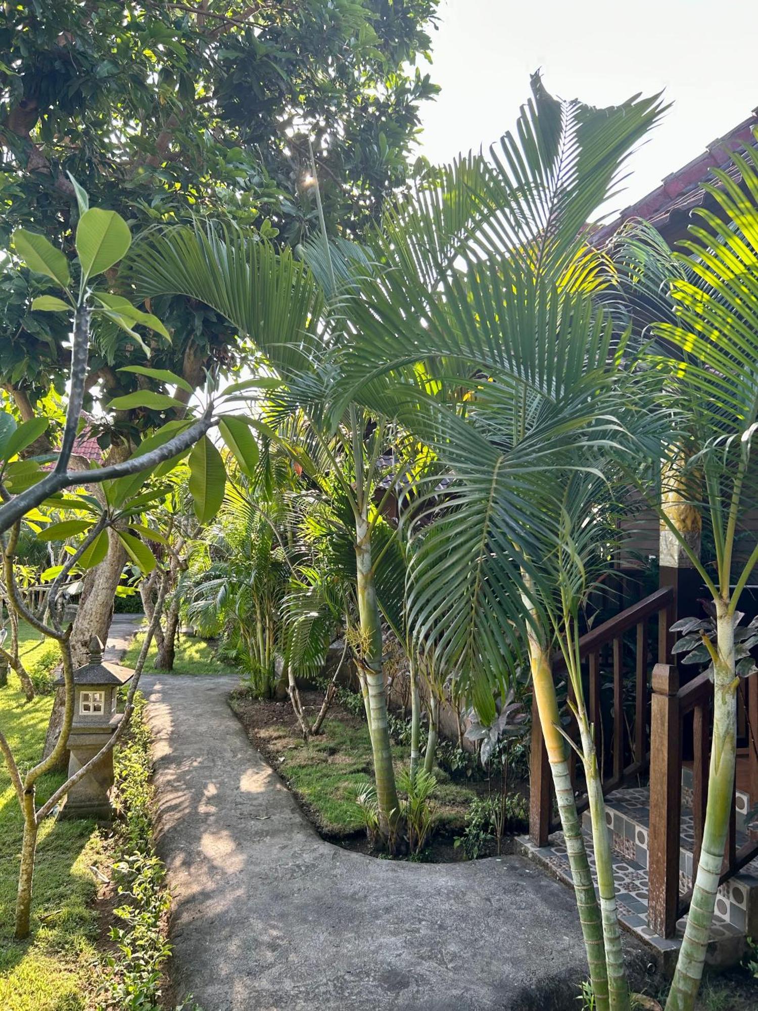 Bed and Breakfast Island Garden Huts Lembongan Экстерьер фото