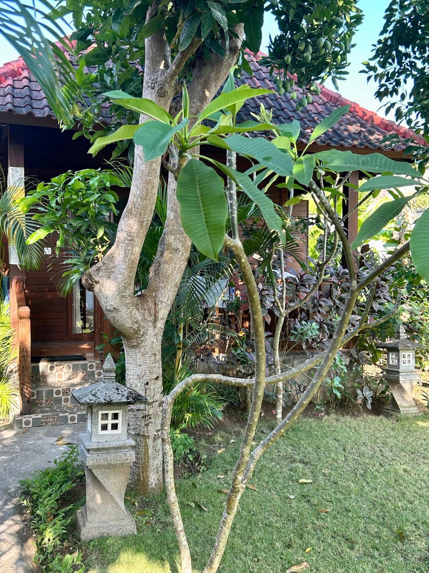 Bed and Breakfast Island Garden Huts Lembongan Экстерьер фото
