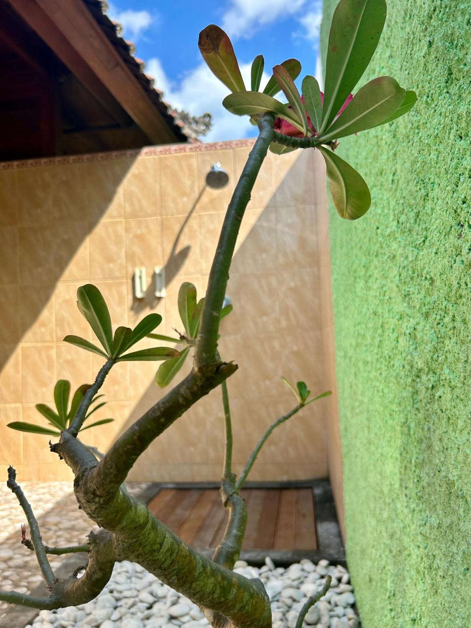 Bed and Breakfast Island Garden Huts Lembongan Экстерьер фото