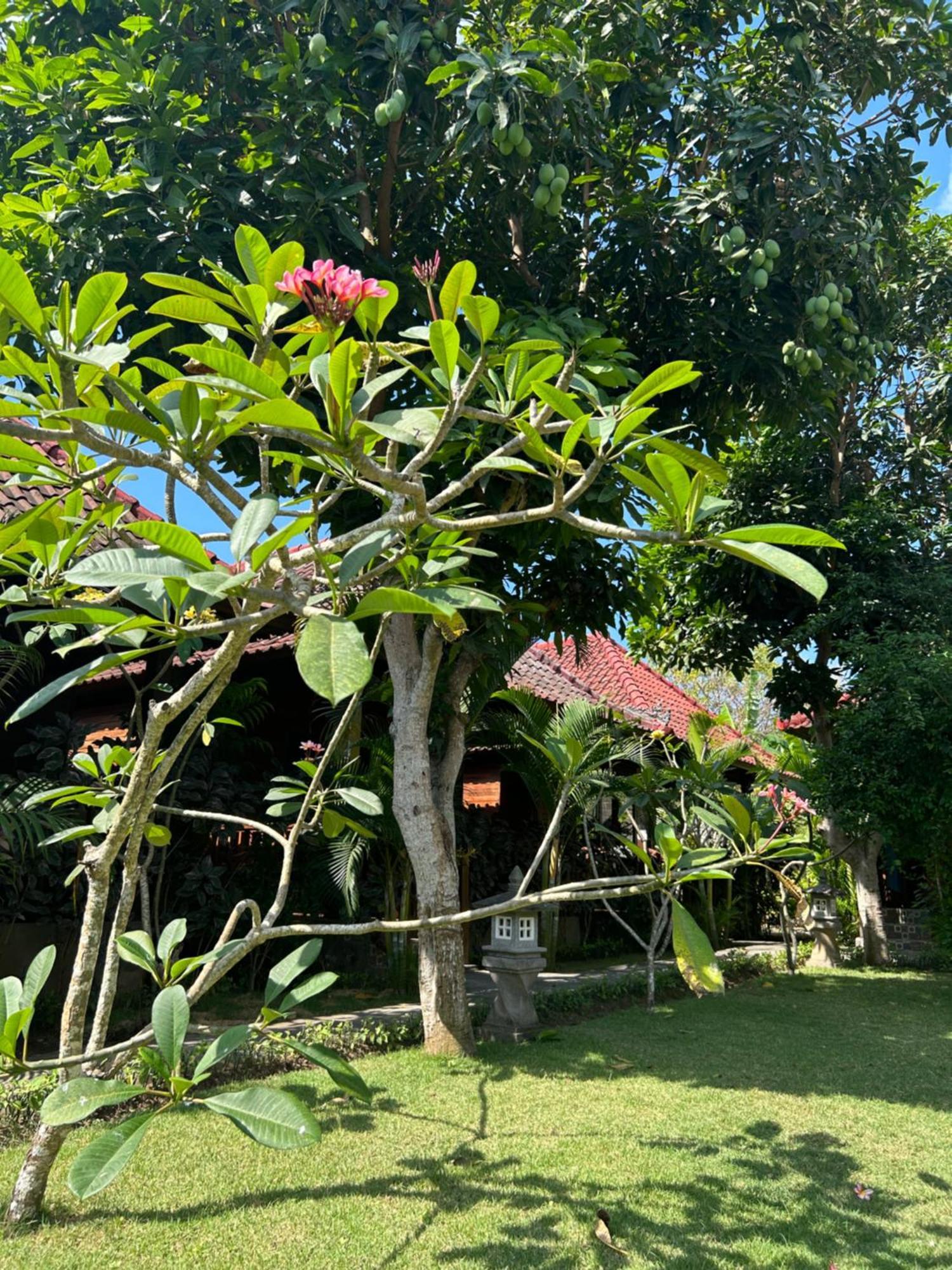 Bed and Breakfast Island Garden Huts Lembongan Экстерьер фото