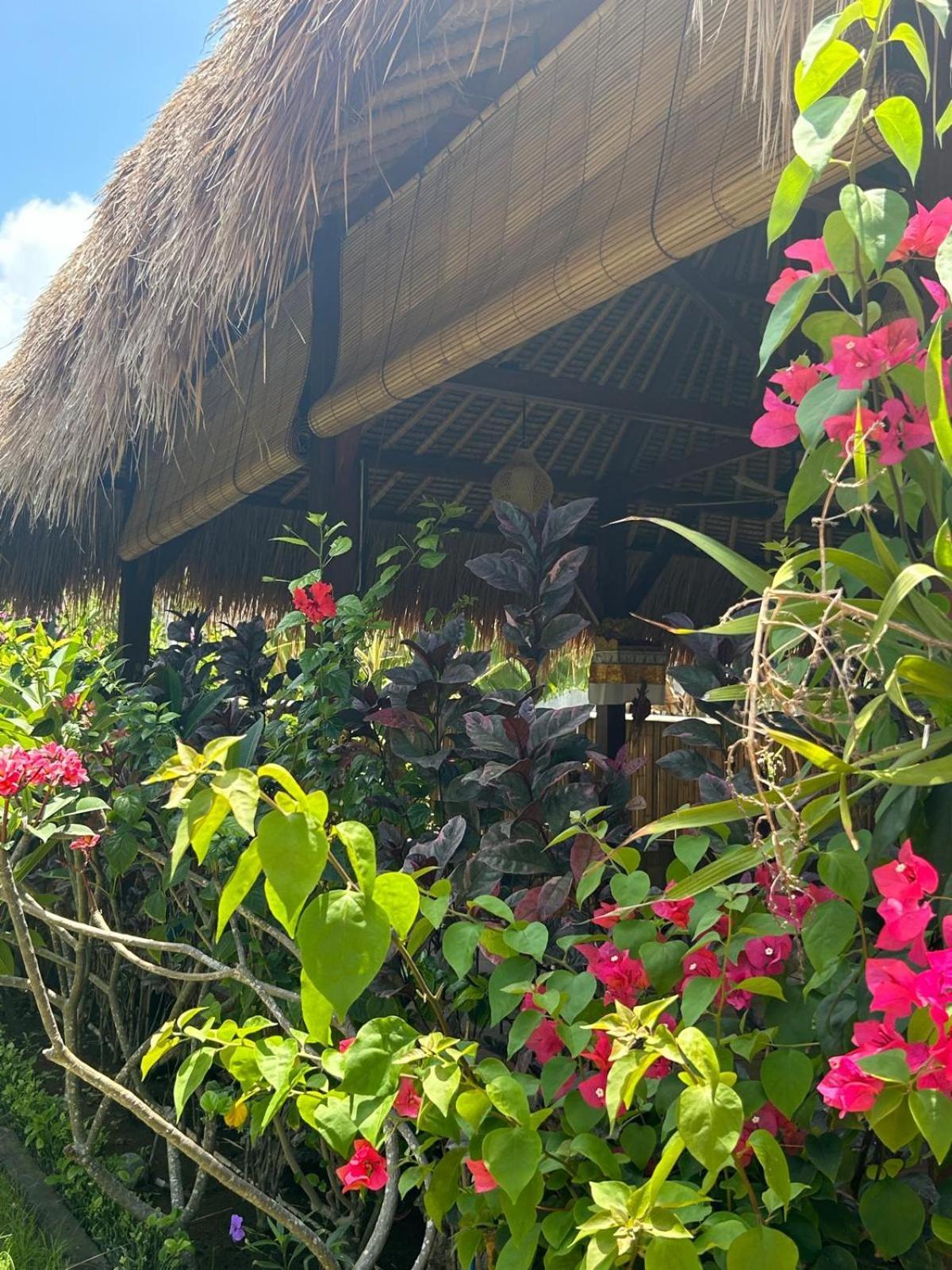 Bed and Breakfast Island Garden Huts Lembongan Экстерьер фото