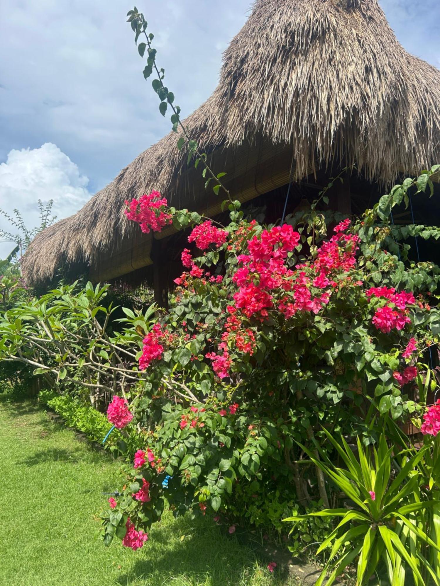 Bed and Breakfast Island Garden Huts Lembongan Экстерьер фото