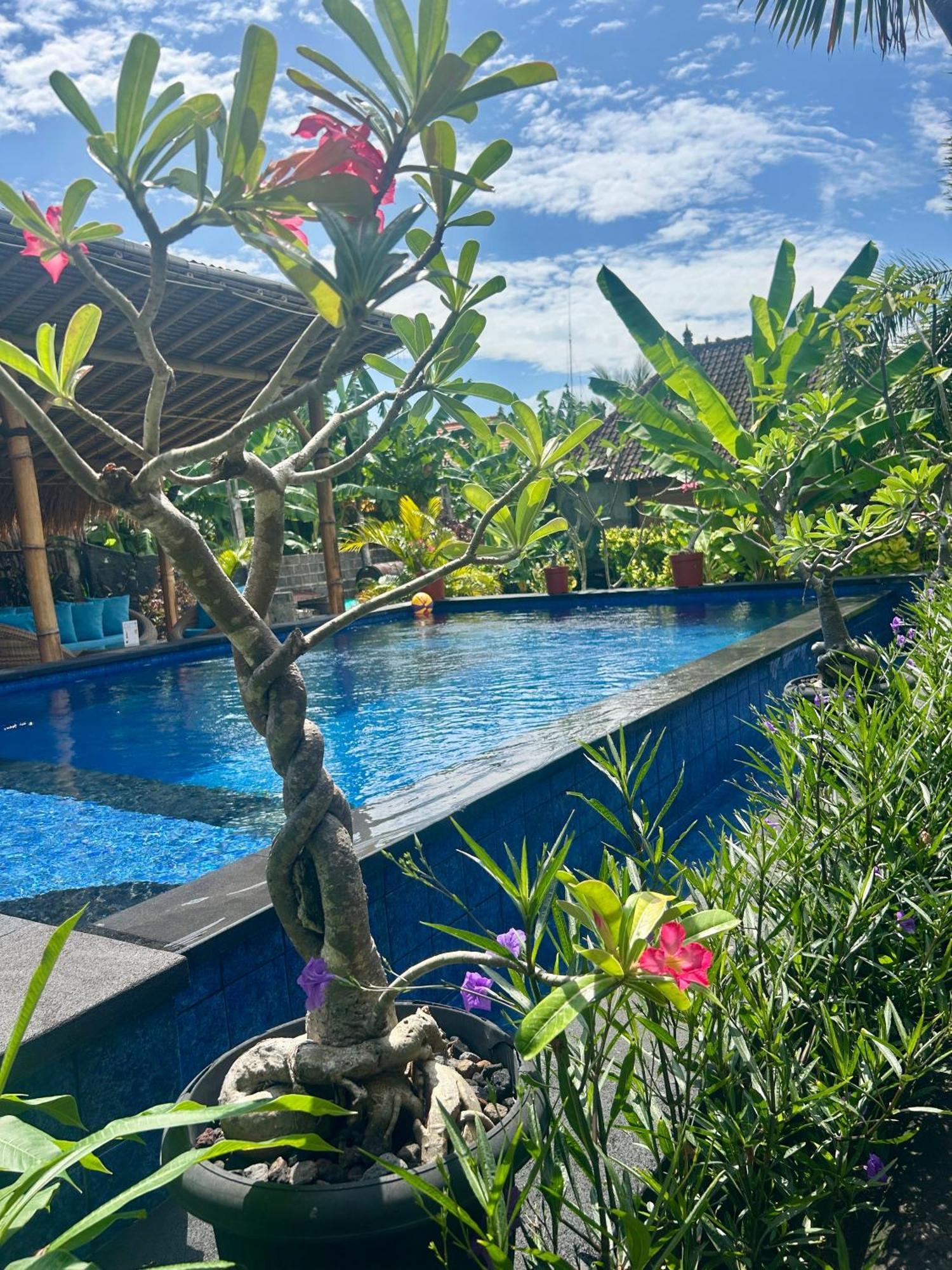 Bed and Breakfast Island Garden Huts Lembongan Экстерьер фото