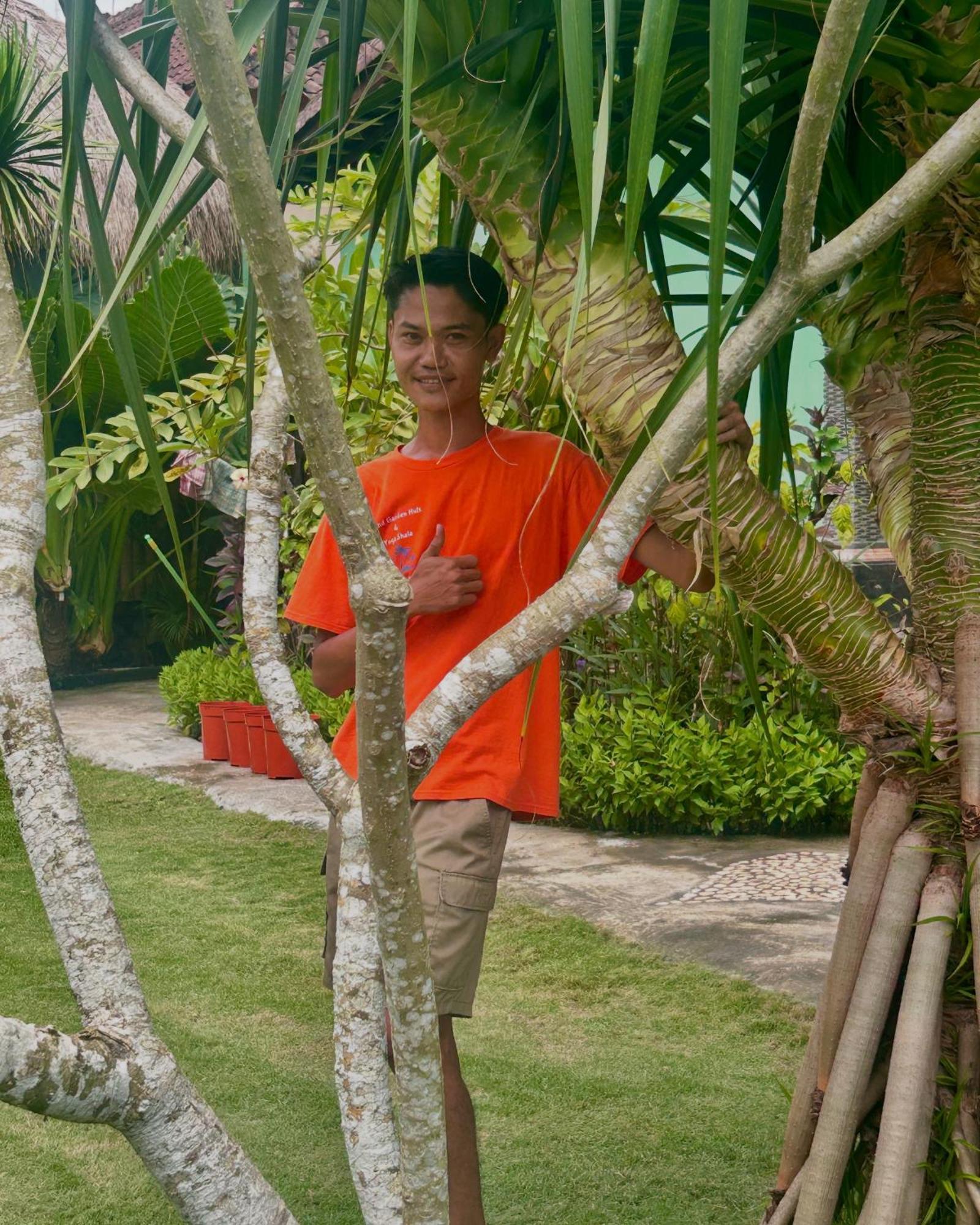 Bed and Breakfast Island Garden Huts Lembongan Экстерьер фото